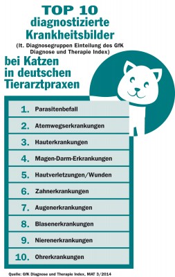Laut GfK Diagnose und Therapie Index sind das die 10 am häufigsten diagnostizierten Krankheiten bei Katzen. Grafik: BfT