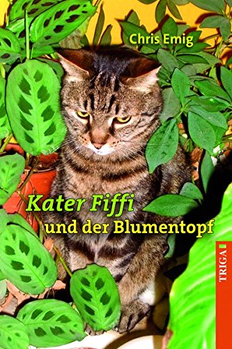 Kater Fiffi und der Blumentopf: Neue Abenteuer mit Kater Fiffi