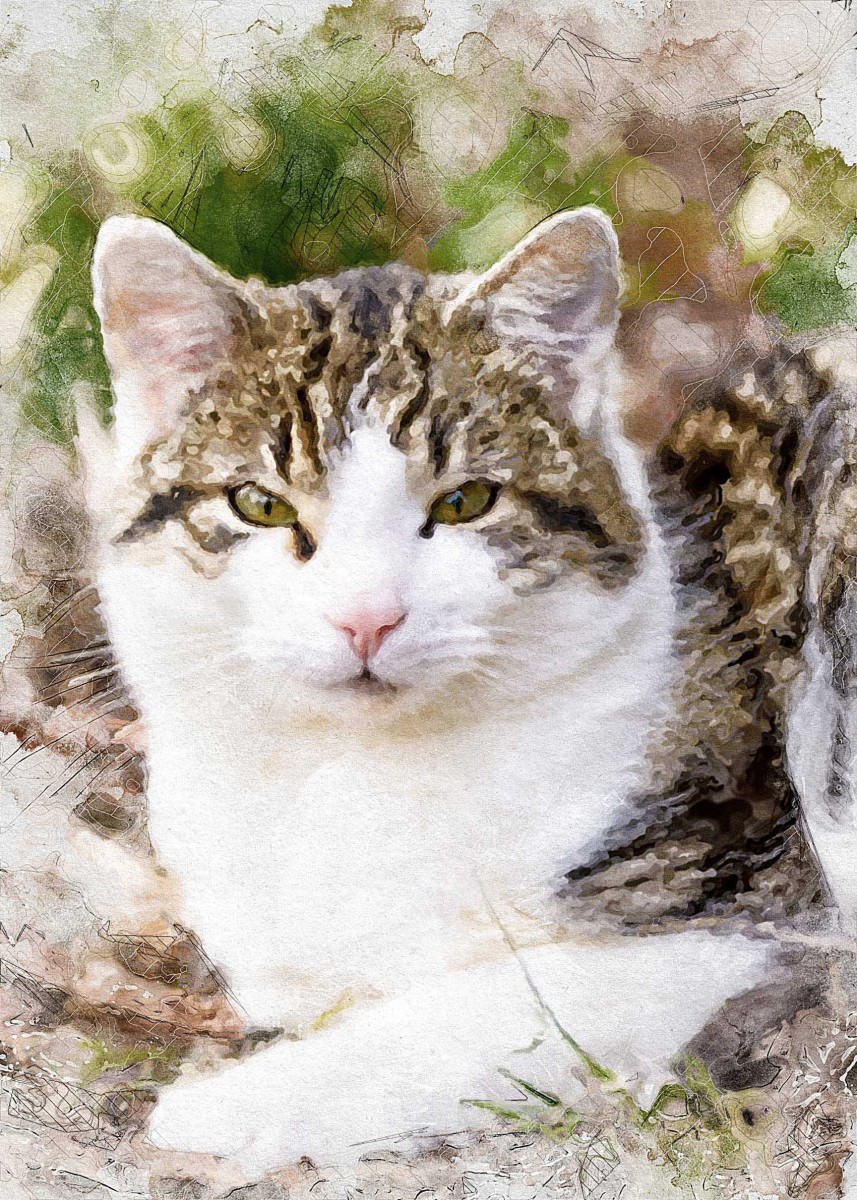wie-gemalt.de: Leinwandbild nach einer Fotovorlage einer Katze