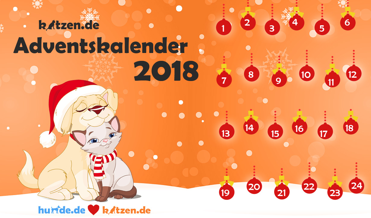 Der große katzen.de-Adventskalender 2018