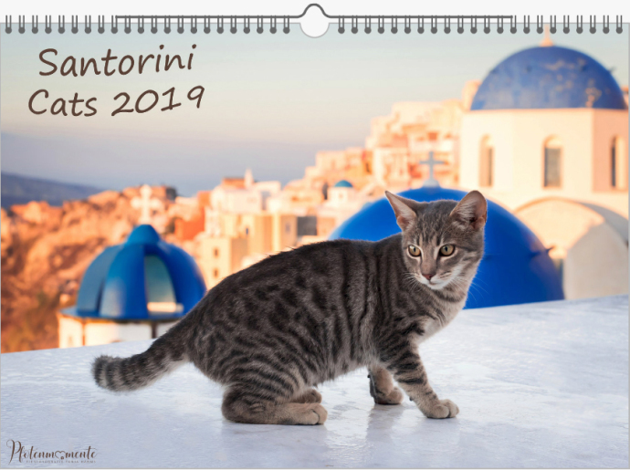 Wandkalender 2019 - Santorini Cats