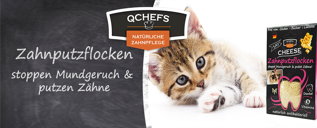 QCHEFS Zahnputzflocken für Katzen