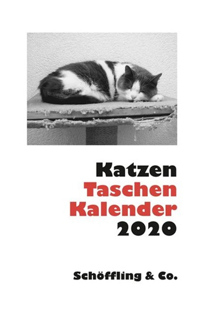 Julia Bachstein - Katzen Taschenkalender 2020