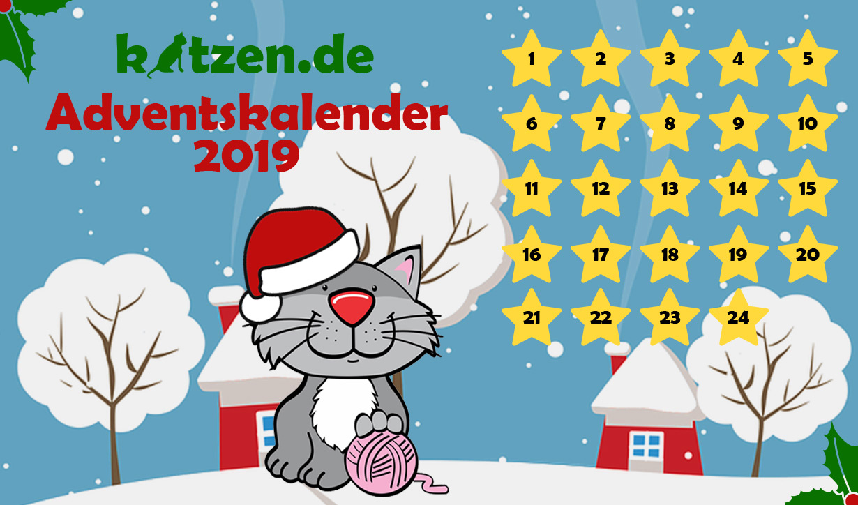 Der große katzen.de-Adventskalender 2019